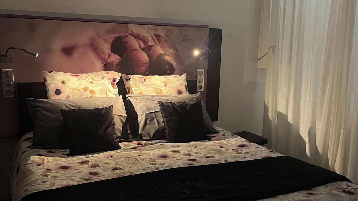 Fere-en-Tardenois Apartment | Chez Laure et Franck
