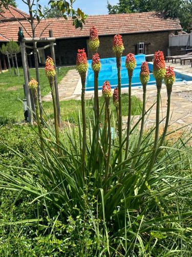 Balkan Mountains House | Chez le Colonel Pool House
