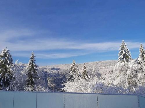 Morez House | Chez Lily et Bruno