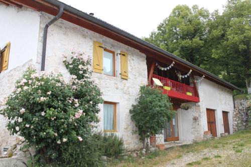 Hotonnes Bed & Breakfast | Chez Louve Bleue