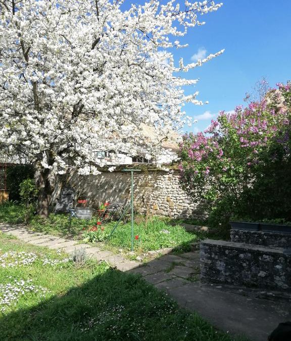 Soisy-sur-Ecole Apartment | Chez Marylene