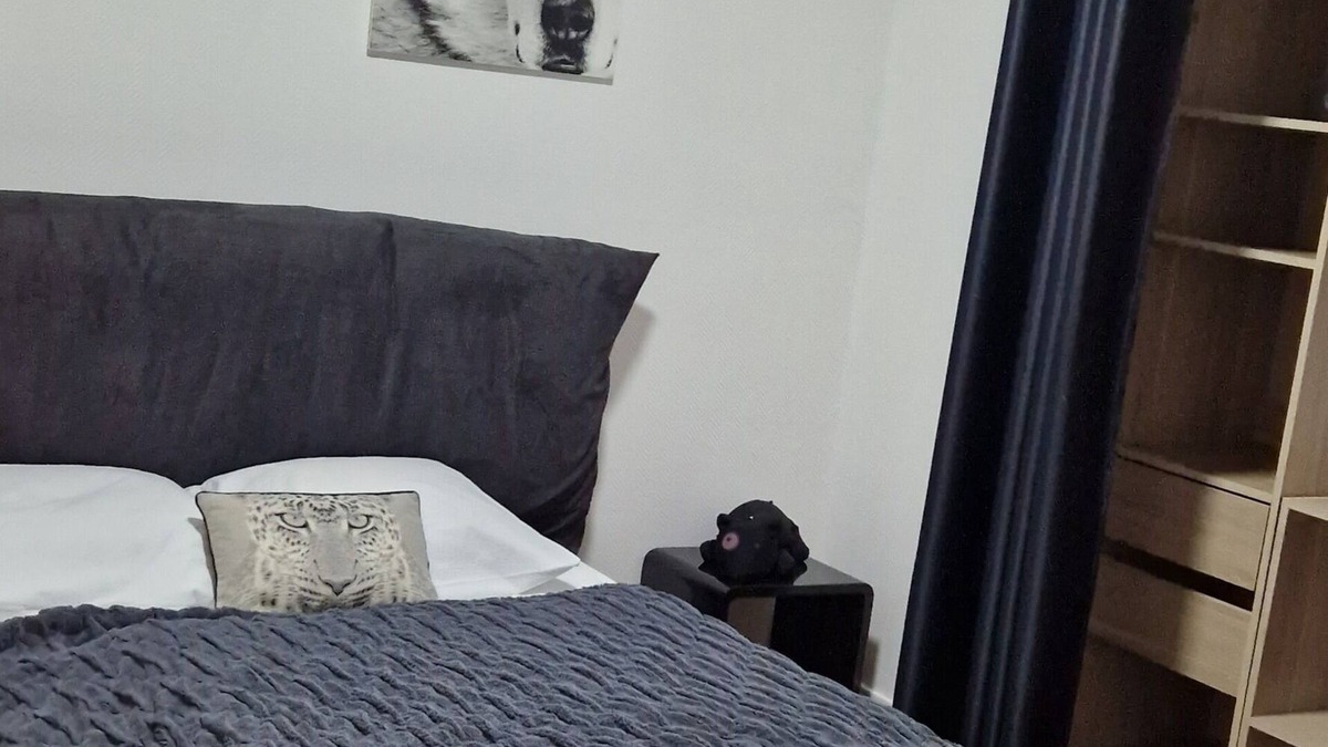 Auxerre Apartment | Chez Nathan, Agréable Appartement au Centre D'auxerre