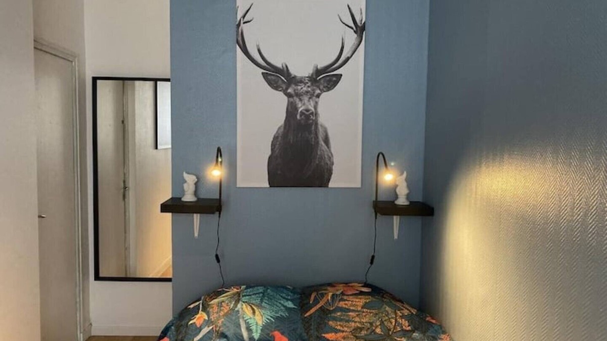 Cret de Roc Apartment | Chic & Cosy F1 Centre Gare Chateaucreux Netflix