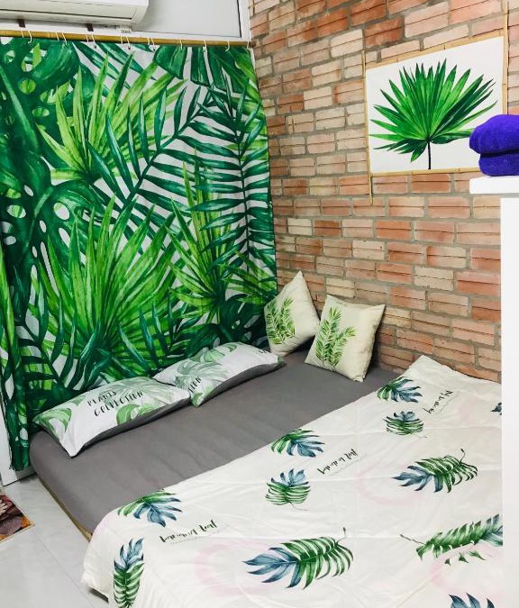 Son Tay House | Chicken's house- Đường Lâm Homestay
