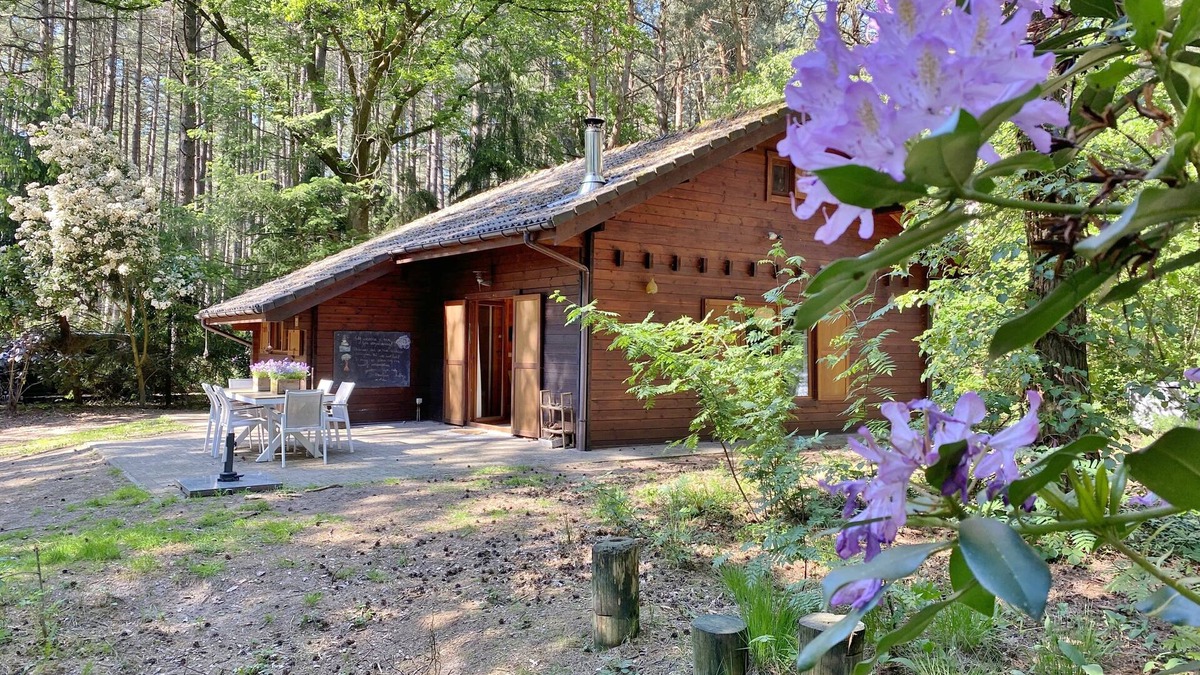 Gierle House | Child-friendly chalet in the woods