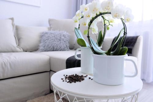 West Pomeranian Voivodeship Apartment | CHILLIapartamenty - Bliżej Morza - MOCCA