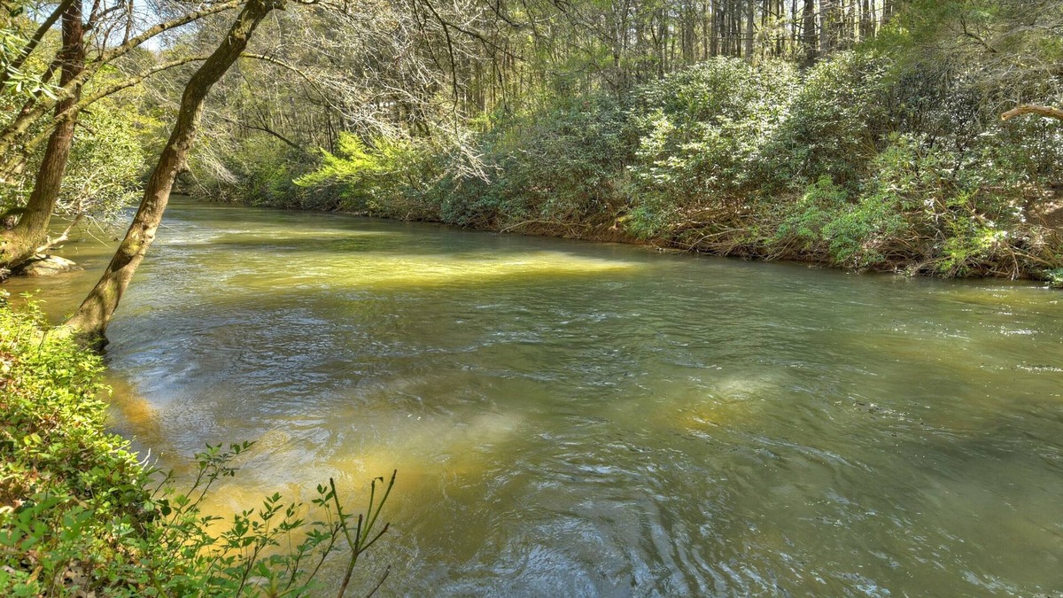 Epworth Cabin | Chimney Path on Fightingtown Creek | Log Cabin | Trout Fishing | Secluded
