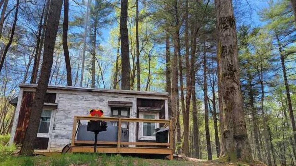 Suches Cottage | Chipmunk Chalet Tinyhome, nestled in the Chattahoochee National Forest w/hot tub