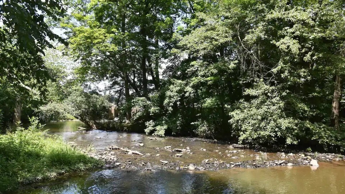 Manheim Apartment | Chiques Creek Retreat Great View