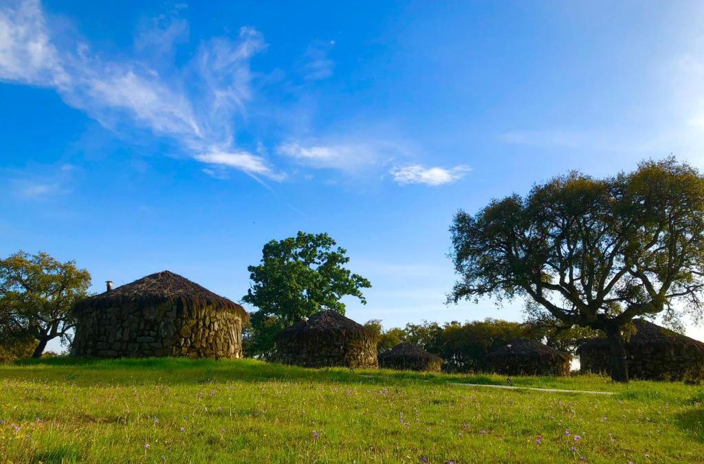 Calzadilla Cabin | Chozos Las Flores de la Dehesa