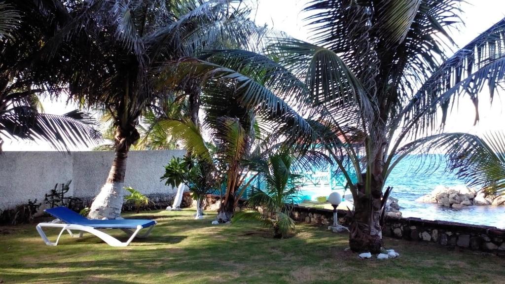 Tower Isle Apartment | Chrisanns Beach Resort