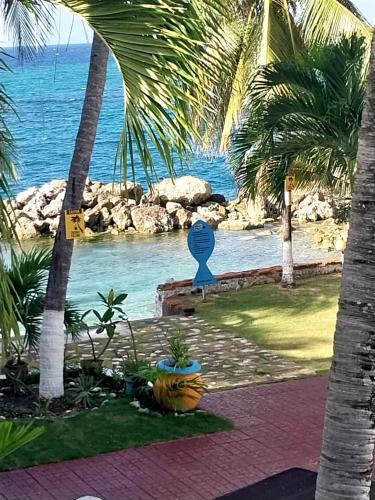 Summerfield Apartment | Chrisanns beach resorts