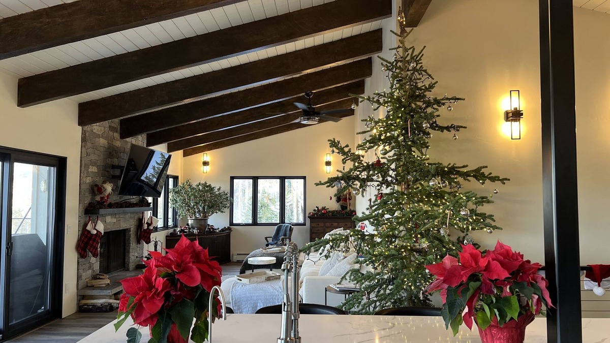 Snowmass Village House | Christmas in Beautiful Snowmass Village! Hot tub, Sauna and Cold Plunge!