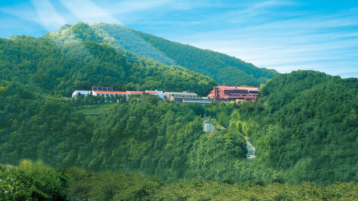 Chungju Hotel | Chungju Suanbo Park Hotel