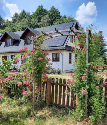 Bialowieza House | Cichosza - The Sound Of Silence