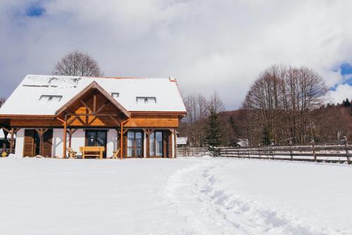 Zetea Villa | Cinege Vendeghaz/Casa de oaspeți Pițigoi