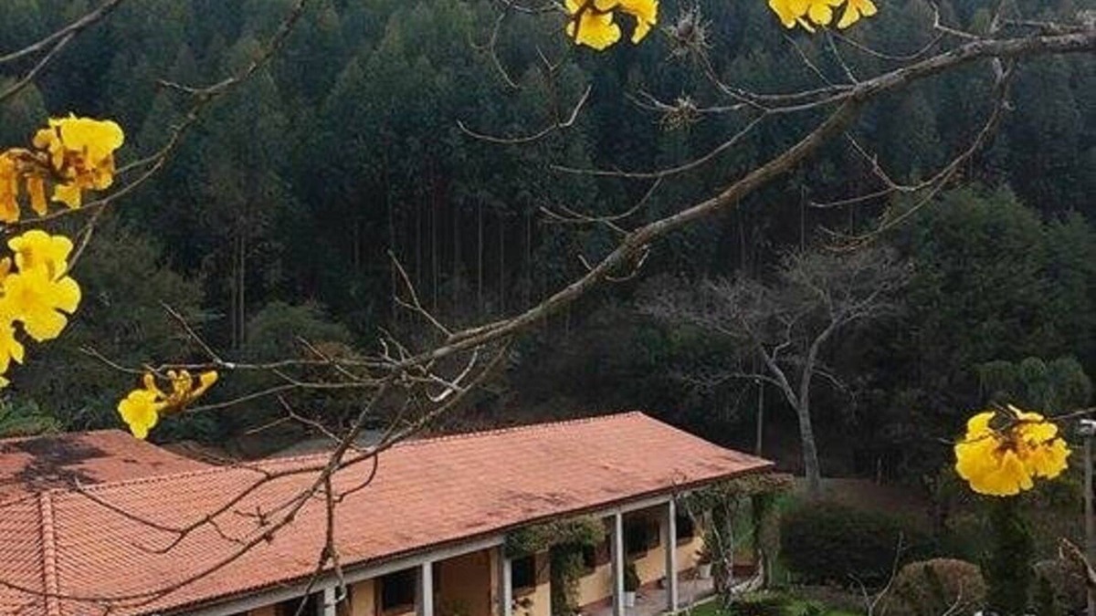 Sao Joao Novo House | CINEMATOGRAPHIC, COZY private! Horse near the end of the week 24-25 Aug 1,200