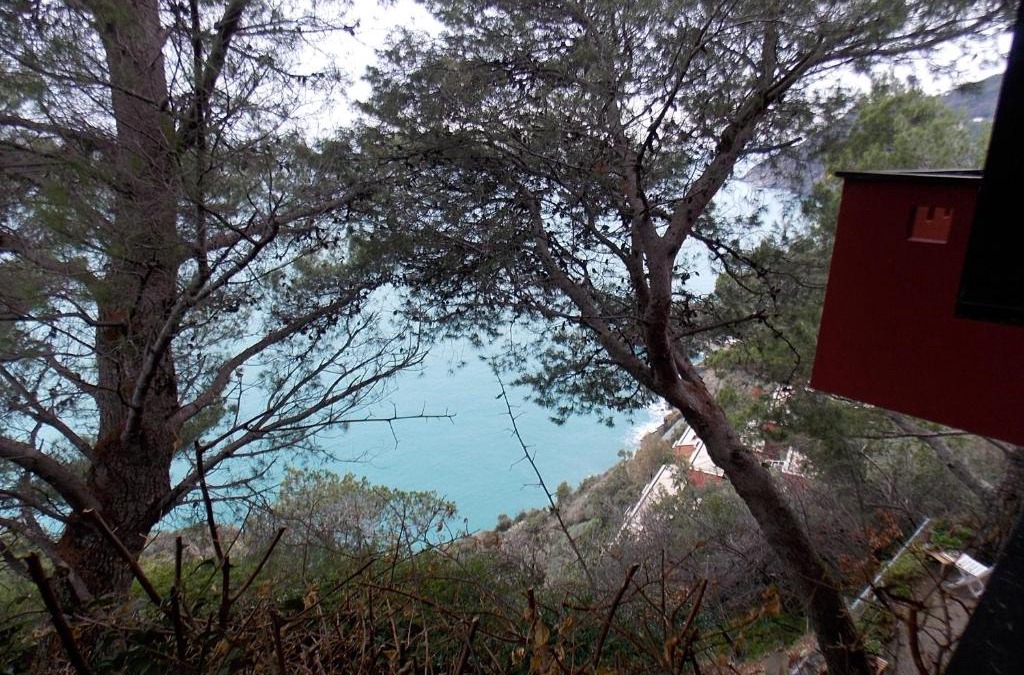 Framura Apartment | Cinqueterre National Park with Super Sea View