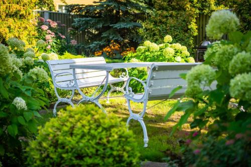 Kesklinn Other | City Center Garden Camping
