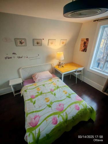Sandy Hill House | City center room near Universty,canal,train station