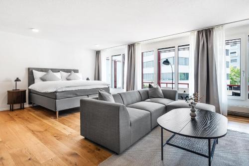 Schaffhausen Apartment | CITY-LOFT 2 !Gratis parken, Free parking!