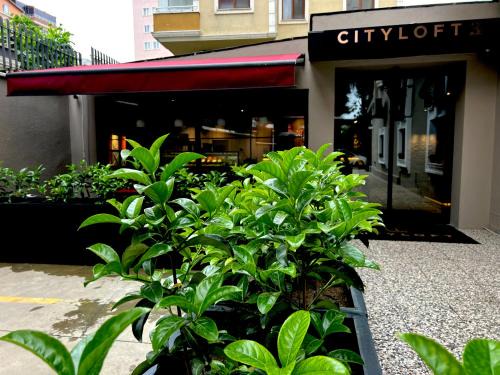 Kucukbakkalkoy Apartment | Cityloft 36