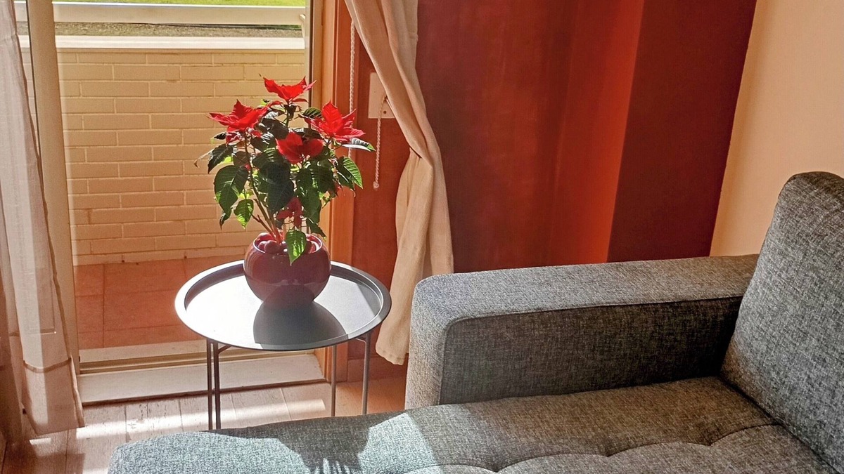 Vila Nova de Gaia Apartment | Close to the beach and port