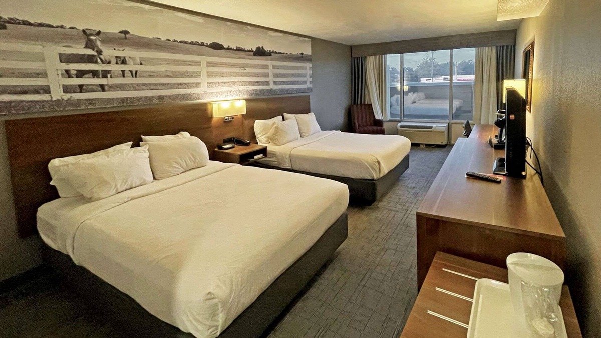 Hopkinsville Hotel | Clarion Pointe Hopkinsville near The Bruce Convention Center