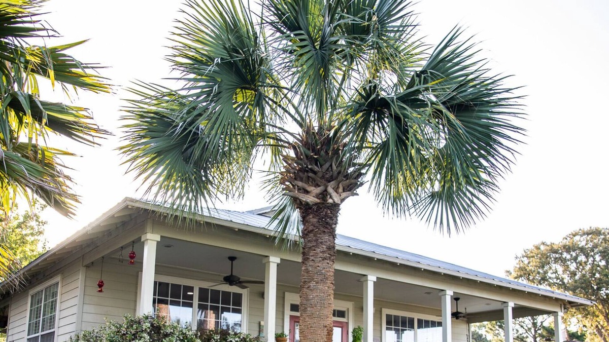 Shalimar House | Classic and Comfy Florida House on the Bayou