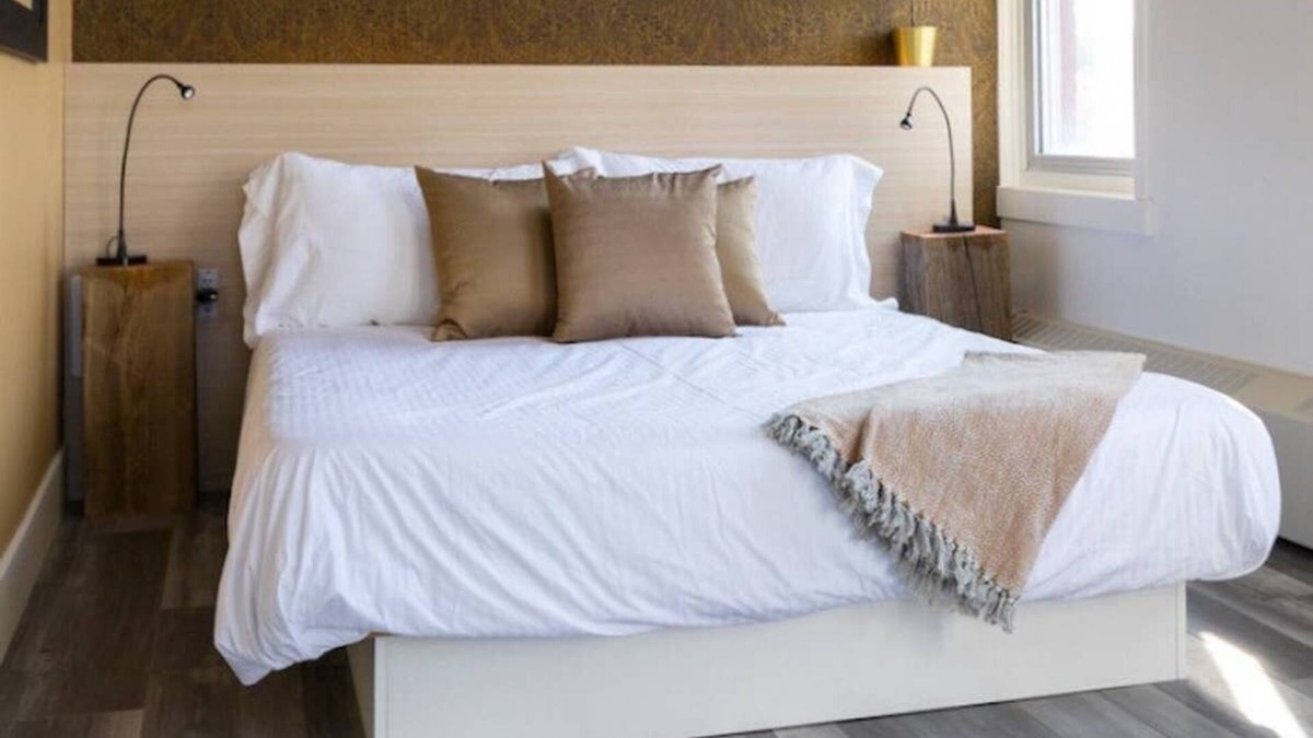 Northeast Edmonton Apartment | Clean, Central Plush Sanctuary in Highlands