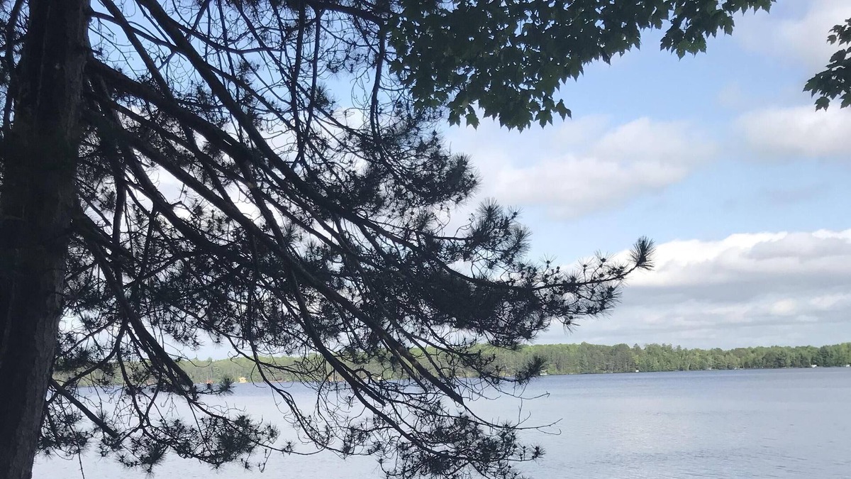 Three Lakes Cabin | Clean, Classic, Quiet Lakefront Comfort - Augie's Cabin on the Three Lakes Chain