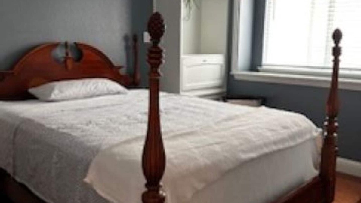 Richmond Apartment | Clean, Cozy apartment with Private Entrance
