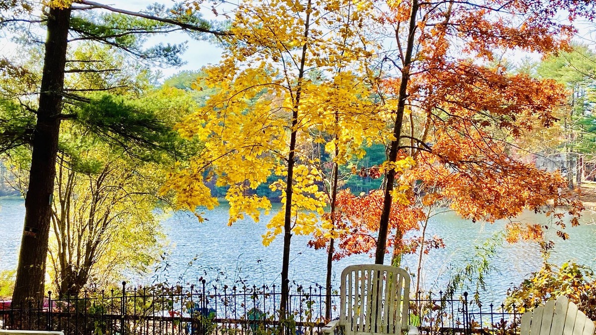Plymouth Apartment | Clear Pond Inn- Suite, Pet friendly Pond front studio apartment sleeps 4 guests.