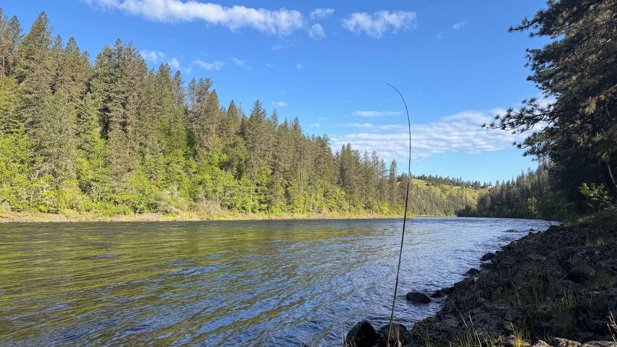 Kamiah Bed & Breakfast | Clearwater B&B Kamiah. World Class Steelhead & Salmon fishing. +2 breakfast.