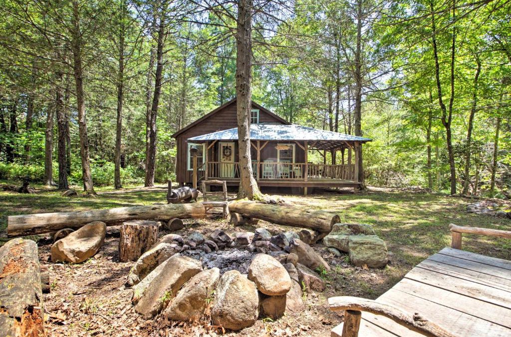 McDowell House | Clearwater Cabin on 10 Acres with Trout Stream!