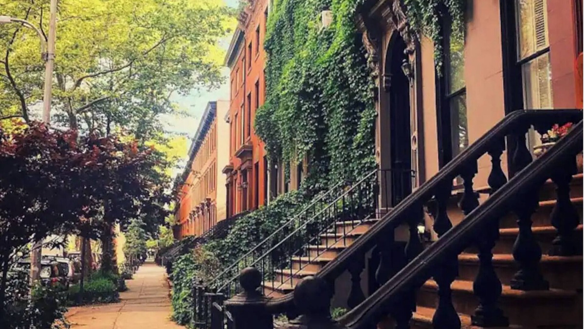 Clinton Hill Apartment | Clinton Hill’s Hidden gem (Student/professionals)