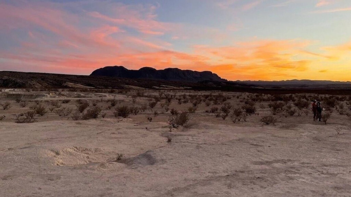 Alpine Cabin | Close to Big Bend National and State Parks!
