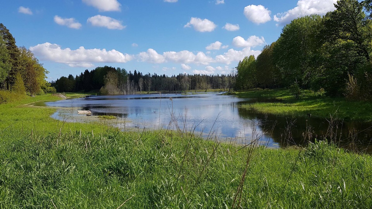 Kummelnas House | Close to nature! Only 20 min away from Stockholm!