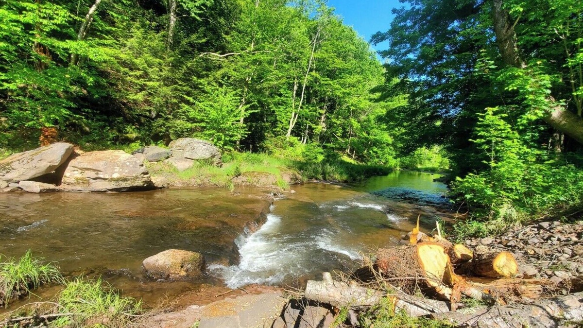 Maplecrest Cottage | Close to skiing in Windham and Hunter, hiking, lakes, 20+restaurants