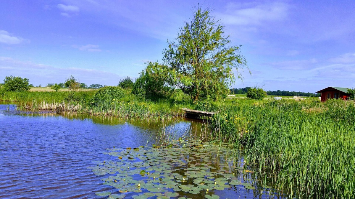 Rodenas Apartment | Close to Sylt - peace, nature, vacation at the biotope - free bicycles