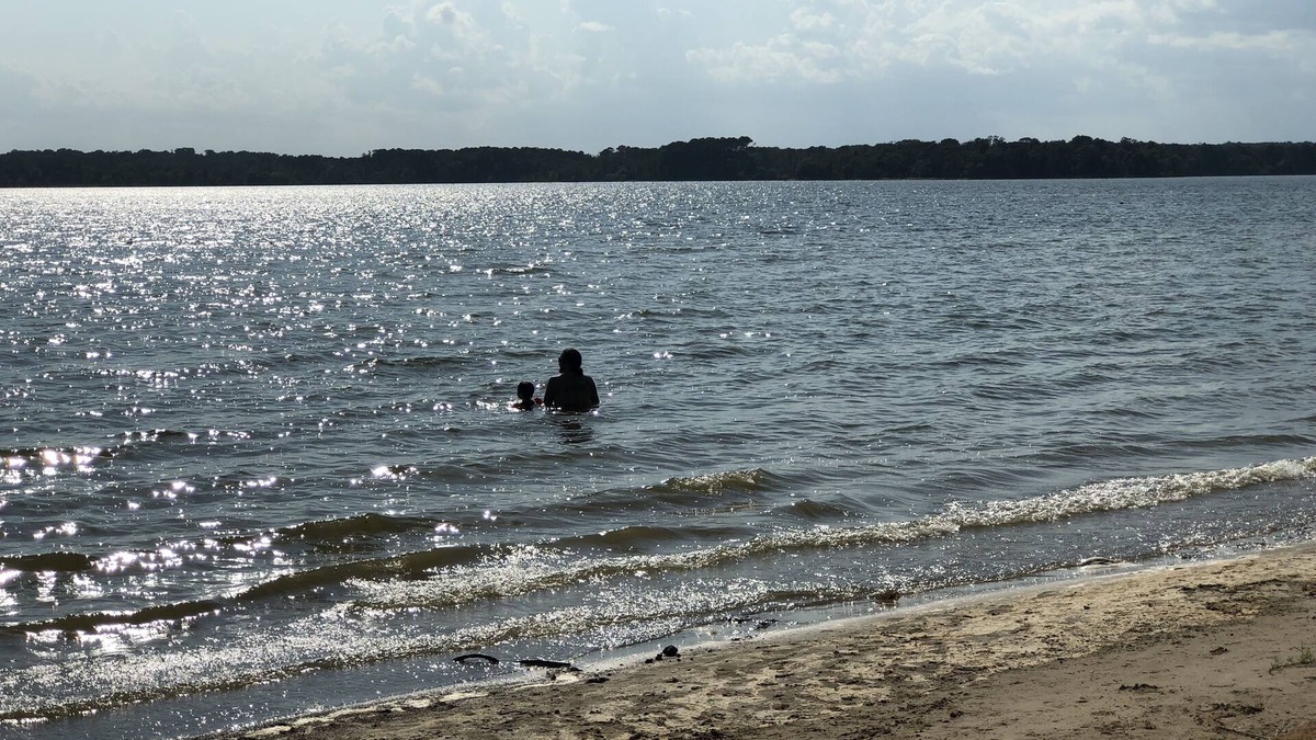 Broaddus House | Close to the Lake and Boat Launches. Pet-Friendly and Family-Friendly. Fish/Hunt