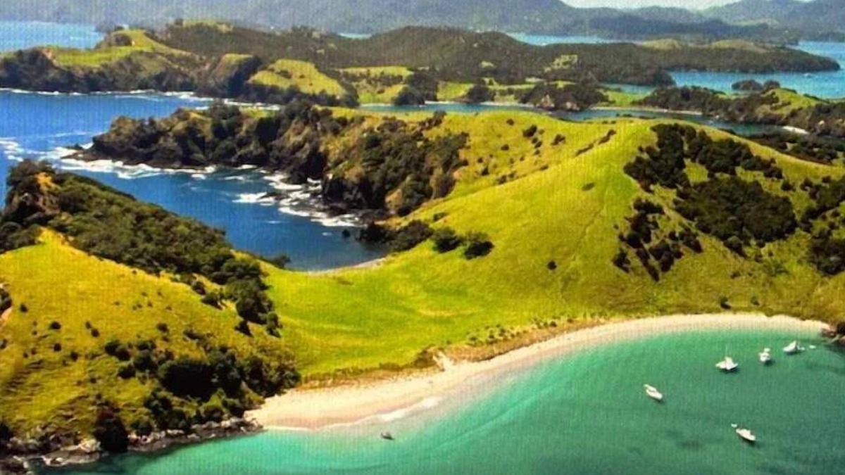 Paihia Resort | Club Paihia Resort 1