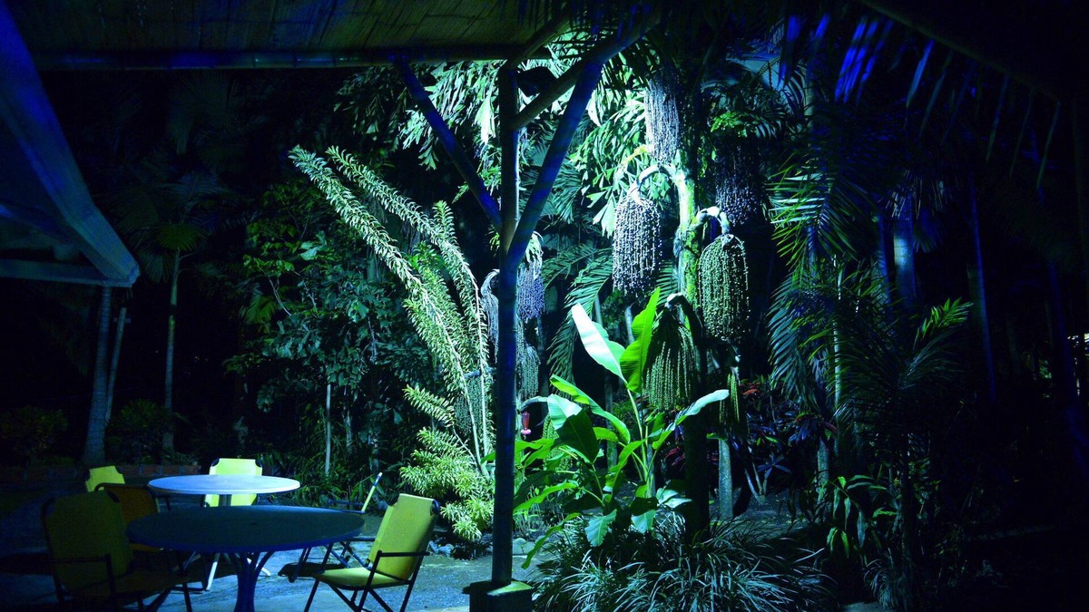 Santagueda House | Complete house with lush vegetation, hot water Jacuzzi for 12 people