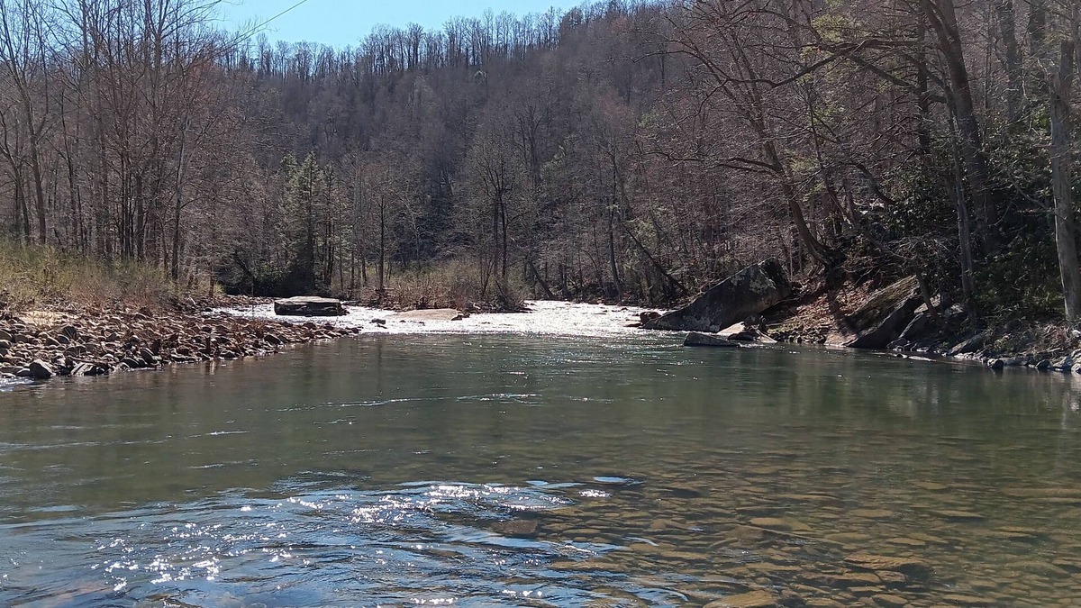 Nettie Cabin | Coal Siding Cabin on the Cherry River. Family and pet friendly!