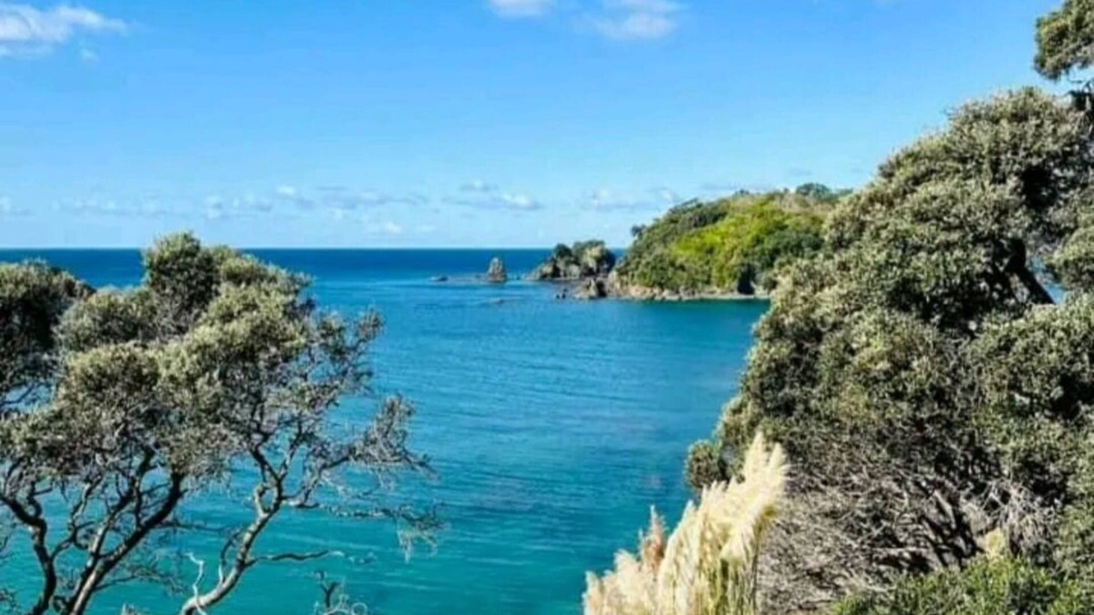 Whananaki North House | Coastal Bach with beautiful views and nearby beaches!