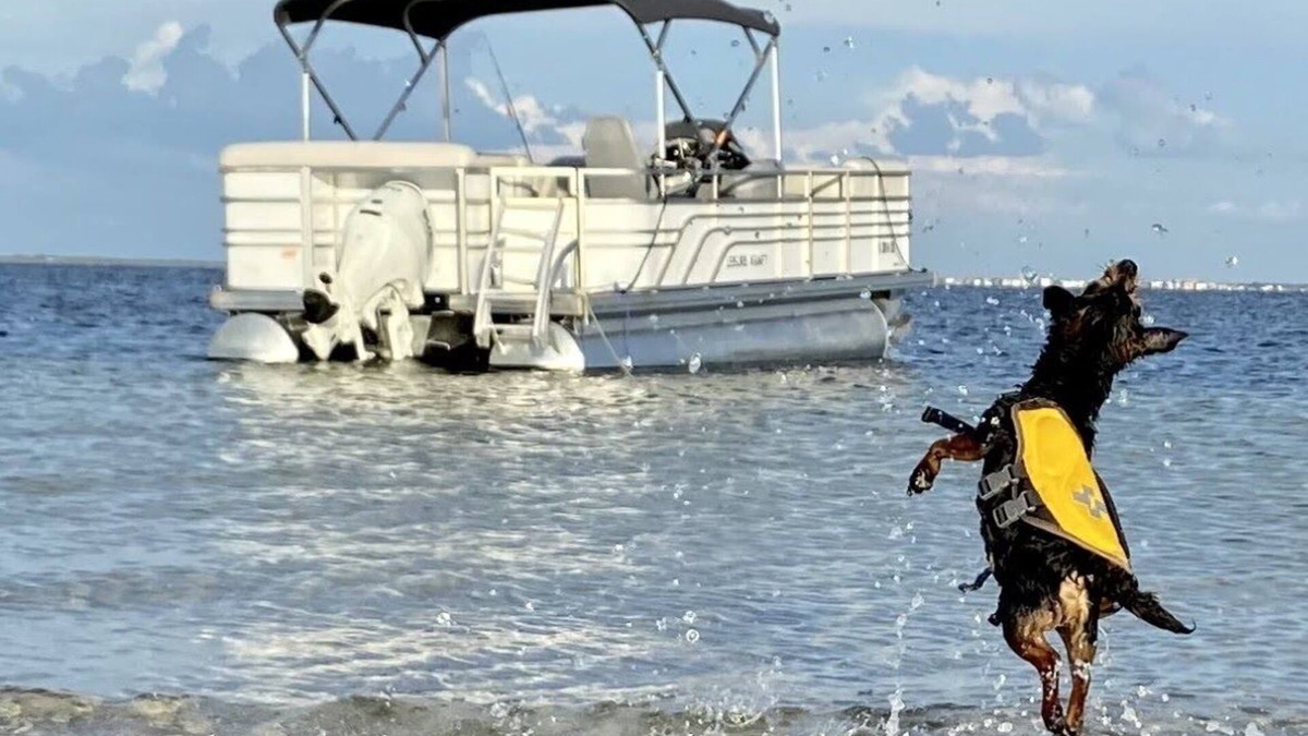Flor-a-mar House | Coastal Escape Awaits: Enjoy a Complimentary Pontoon Boat Adventure!