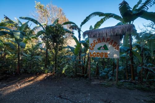 Huayopata Hotel | Cochapata lodge
