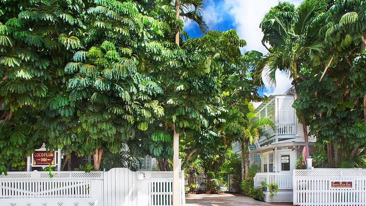 Downtown House | Coco Plum Inn