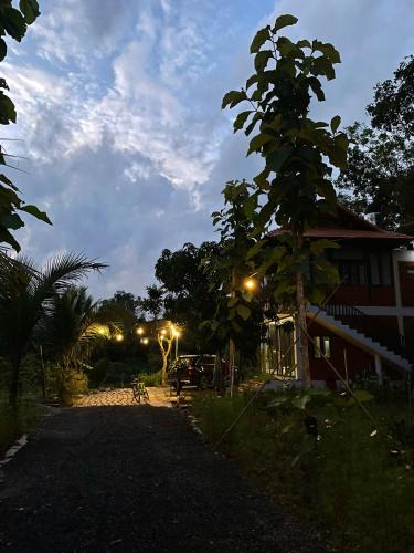 Quan Tom Cabin | Coco Retreat