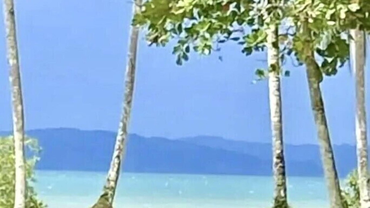 Palma House | Coconut Beach House at playa Amapola Entire Cottage hosted by Kimberly -internet